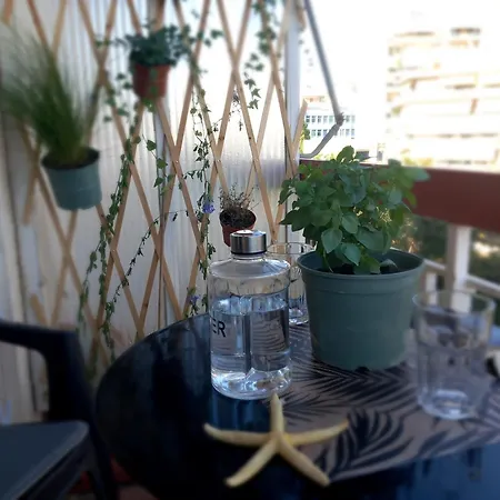 Apartamento Apartment-aca